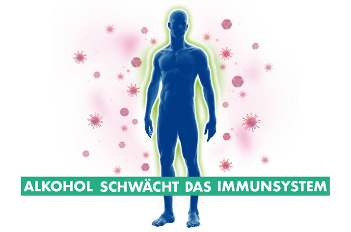 Grafik: Alkohol schwächt das Immunsystem