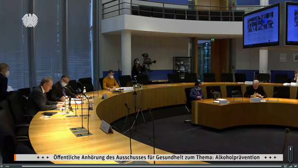 Blick in den Konferenzraum der Anhörung am 3. März 2021