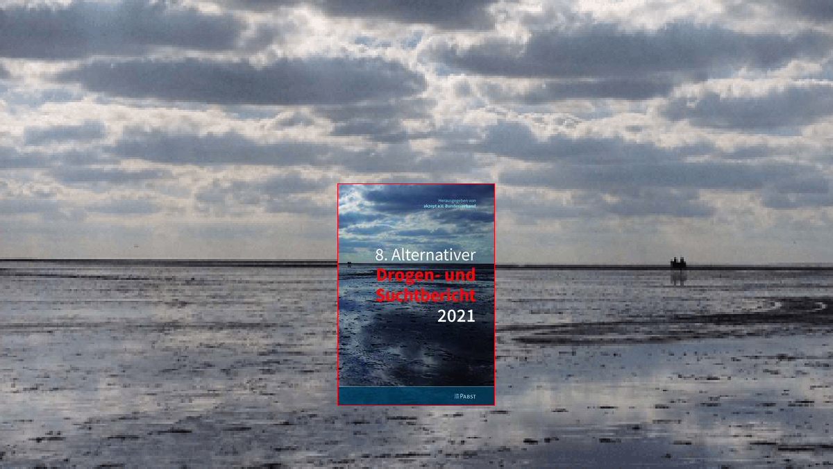 Buchcover des Berichts