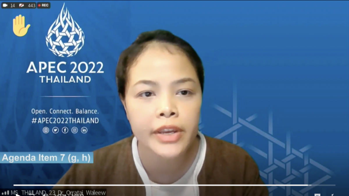 Dr. Waleew, Thailand, auf Konferenzbildschirm