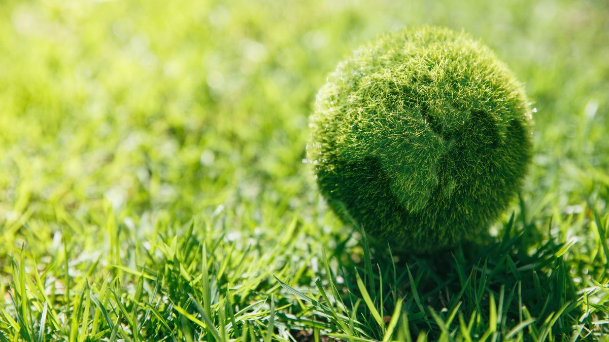 Grüner Ball mit Kontinent-Umrissen auf Gras