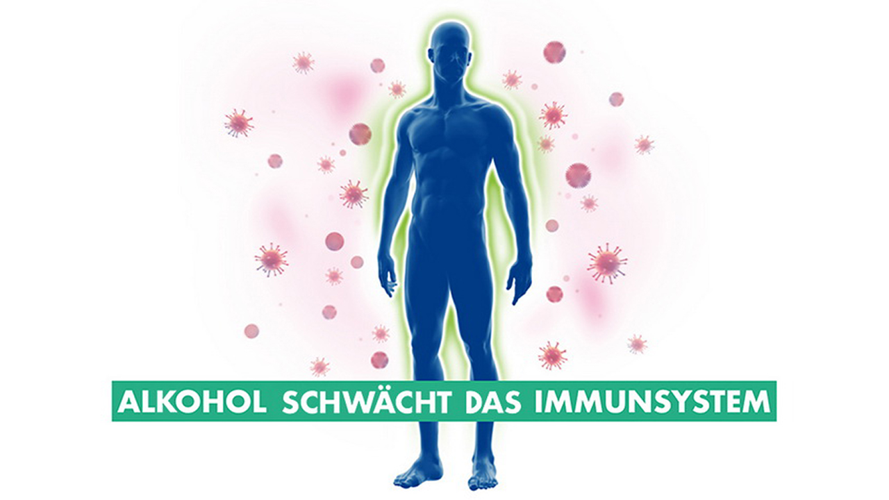 Blauer männlicher Körper in grüner Aura wird von rosa Viren umzingelt. Darin der Text: Alkohol schwächt das Immunsystem.