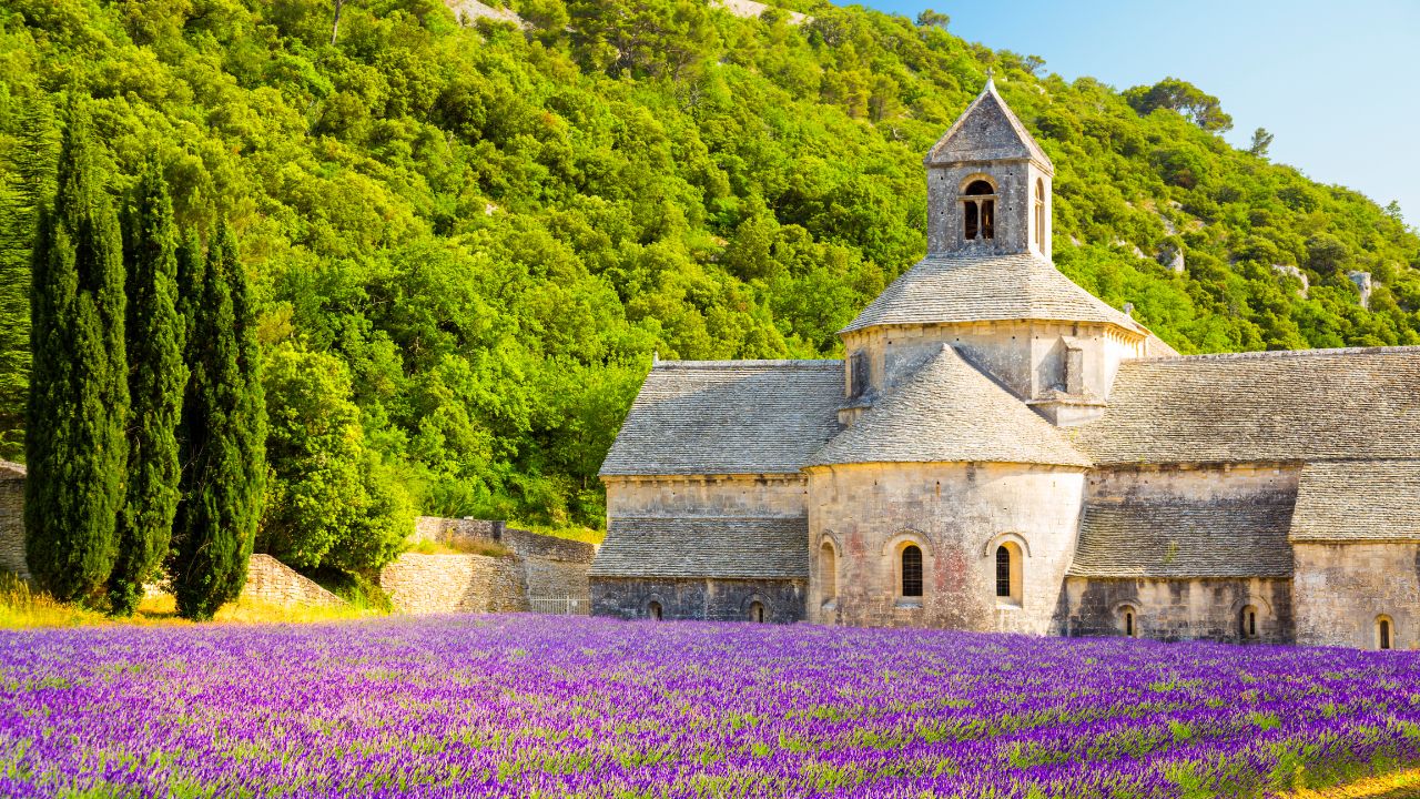 Lavendelfeld vor der Abtei Senanque in der Provence, Frankreich.