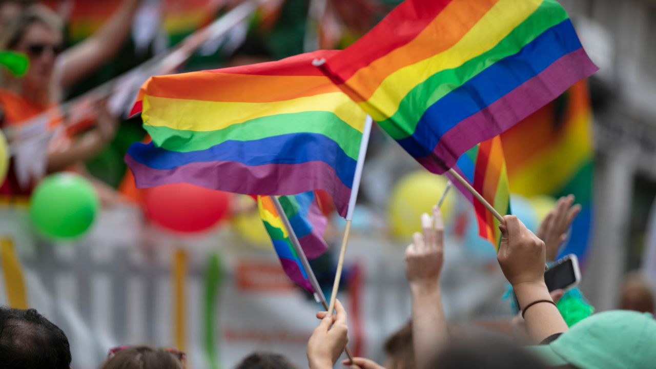 Geschwenkte Regenbogenfahnen über den Köpfen einer Menschenmenge.