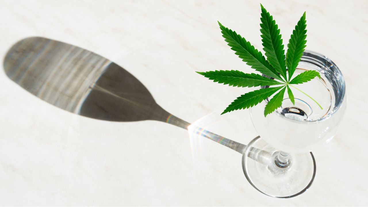Cannabisblatt liegt auf Weinglas, das einen langen Schatten wirft.