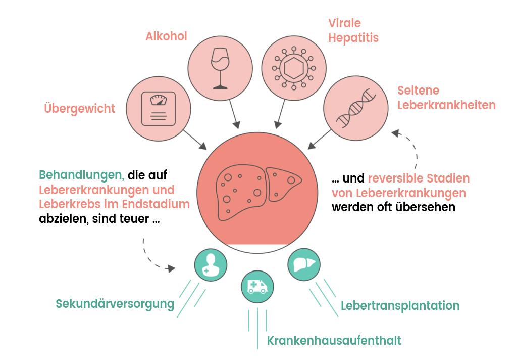 Späte Leberbehandlung ist teuer und verhindert Sterblichkeit weniger