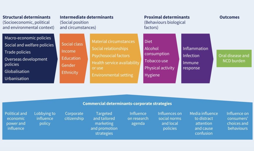 Soziale und kommerzielle Determinanten der Mundgesundheit gemäß dem WHO Global Oral Health Report 2022