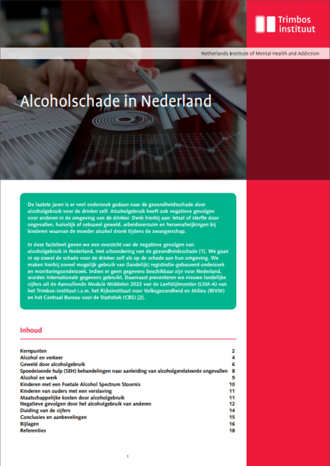 Titelseite des Merkblatts 'Alcoholschade in Nederland'.